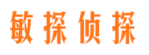 叶县寻人公司